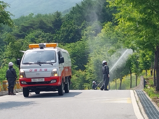 농림지 동시 발생 병해충에 대한 방제 장면.   산림청 제공